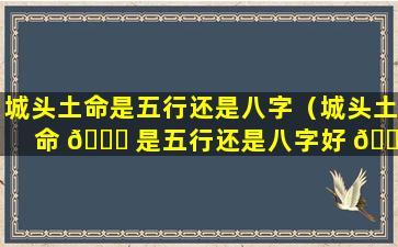 城头土命是五行还是八字（城头土命 🐟 是五行还是八字好 🌷 ）